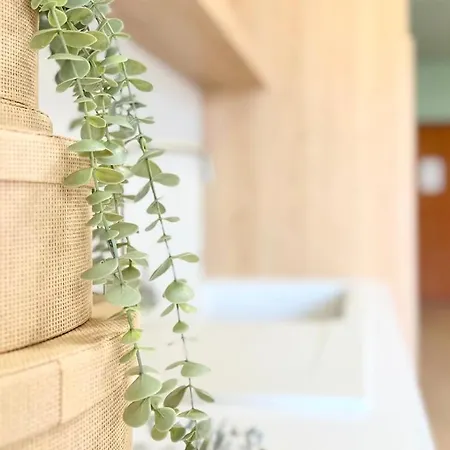 Promo Price September - By The Sea Daire